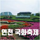 초록집 | 연천국화축제 주차장 입장료 일정 축제기간 가는길 정보
