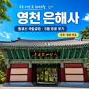 말분 | 팔공산 국립공원 영천 은해사 후기, 5월 초록이 가장 예뻤던 천년고찰 산책