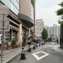이일형농장 | 성심당 롯데백화점 복숭아롤,복숭아케이크 토요일 오픈런 구매 후기