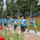 진교 메타세쿼이아길 이미지