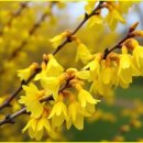 타로에 반하다 이미지