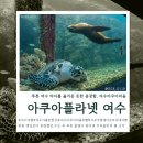 젤리피쉬 | 여수 아쿠아리움 후기, 기대 없이 갔다가 생각보다 좋았던 실내코스