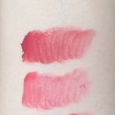 포쉬퍼피 이미지