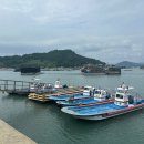 고흥바다장어 | 내 취미는 배 낚시! 고흥 감성돔, 바다 장어 잡은 후기