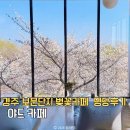 명당2길 | 경주 보문단지 벛꽃 카페 야드 명당 자리 오픈런 후기