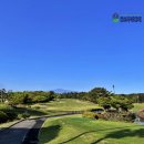 크라운 | 제주도 골프부킹 겨울에 좋다는 제주 크라운 골프장 후기