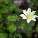 충청도양반길(2코스) 이미지