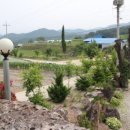 거멍바우펜션 이미지