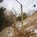 소래산커피