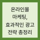 온라인몰 마케팅, 효과적인 광고 전략 총정리