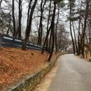 부소산성 남문지 이미지