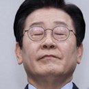 미국 선거감시단 대거 입국에 주한미군 1차 철수 이미지