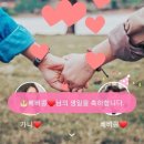 1991다이닝 이미지