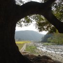 월광천 | 매화산 청량사(梅花山 淸凉寺), 가을의 품에 들다