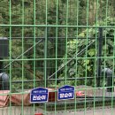 게으른노을 | [충주 악어봉]충북 충주 악어봉🐊게으른 악어🐊일몰 산행🌅 노을 후기