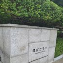 생탐 이미지