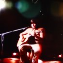 컨츄리Dog 이미지