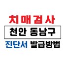 동남구치매안심센터 | 천안 동남구 치매검사 및 치매진단서 발급 방법 / 75세 이상 운전면허증 갱신 및 장기요양보험 /치매...