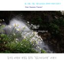 구절암 | 공주 구절산 구절초, 하얗게 물든 가을 힐링 산책길