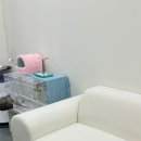 프롬탑투토 이미지
