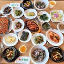 통일애견 이미지