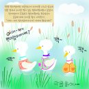 연못민박 이미지