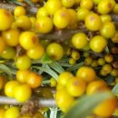 광록농장 이미지