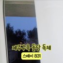 스테이 831 이미지