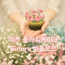 비플로르 이미지