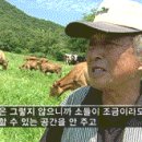 님들..서해안 해수욕장 및 펜션 추천요~ 이미지