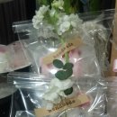 키티어린이집 이미지