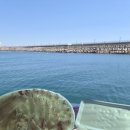 형제수산 | 경주 감포 횟집 가성비 형제수산 회 포장 후기