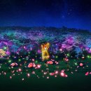 고창고인돌(서울) 이미지