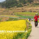 세계슬로우걷기축제 4.18 신지, 4.19 청산도 개막 이미지