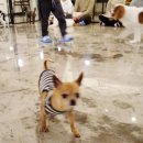 헤이독청주 이미지