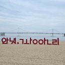 순천만갈대이야기노래연습장 | 빵! 부산 여행 엔딩: 광안리 맨발 걷기 &amp; G7 도서관에서 즐긴 비 오는 날의 여유