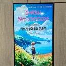 지브리와 사랑에 빠지다 | 부산 해운대 문화회관 지브리와 사랑에 빠지다 영화음악 콘서트 내돈내산 후기