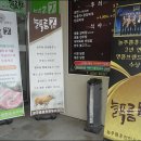 늘푸름개발 이미지