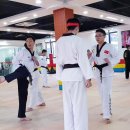 용인대박사태권도 이미지