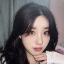 베이지 앤 브라운 | 하파크리스틴 원앤온리 크리스틴 플러스 2종 후기 (그레이, 브라운)