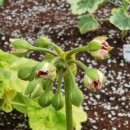 앙드레농장 이미지