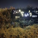 별해는밤