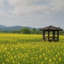 용담동 선사무덤유적 | 고창 고인돌 유적