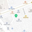 강남 요미독앤캣 강아지 분양 고양이 분양 이미지