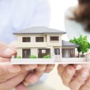 롱 스토리 이미지