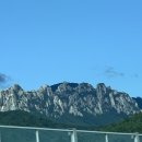 자작도 비치하우스 | 서울에서 고성 당일치기 스노클링, 물놀이 여행(+고성 자작도 해수욕장 후기+맛집+바다보이는 카페)