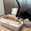 두부두부 이미지