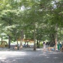 도로줌마을 이미지