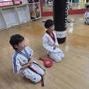 경희대 대영 태권도장 이미지