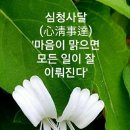 팔월가배